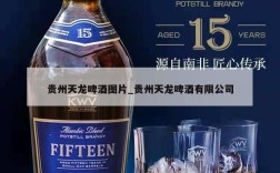 贵州天龙啤酒图片_贵州天龙啤酒有限公司